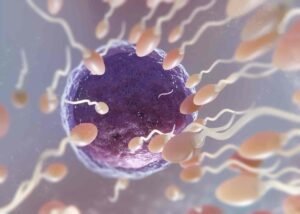 vitro fertilization treatment 