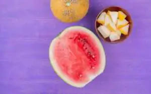 digestion process in human