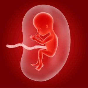 amniotic leaking