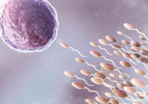 rapid progressive motility