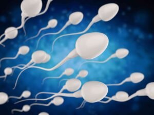 dna methylation and epigenetics