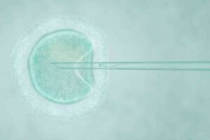 improve ovum quality