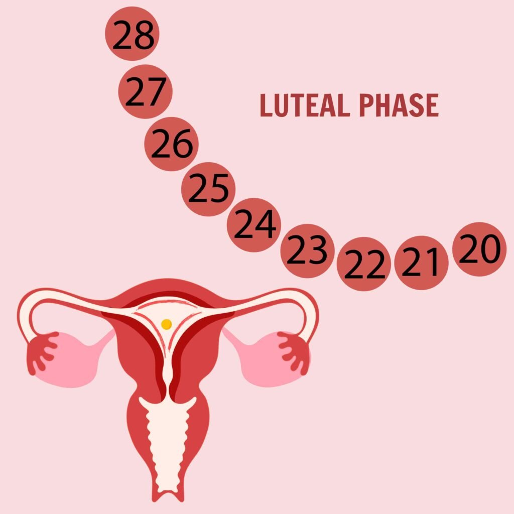 luteal phase defect