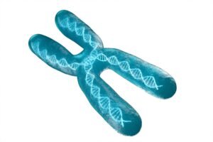 dna fragmentation treatment