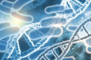 scsa dna fragmentation test 