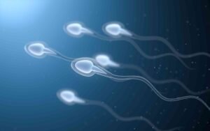 epigenetic analysis