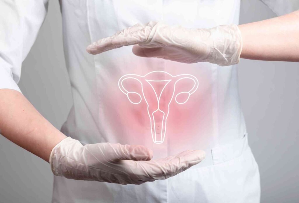 endometrium