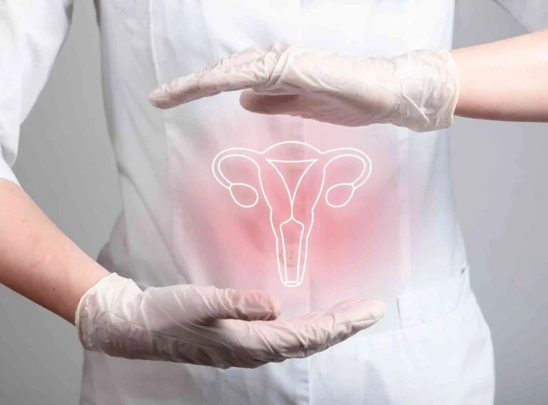 endometrium