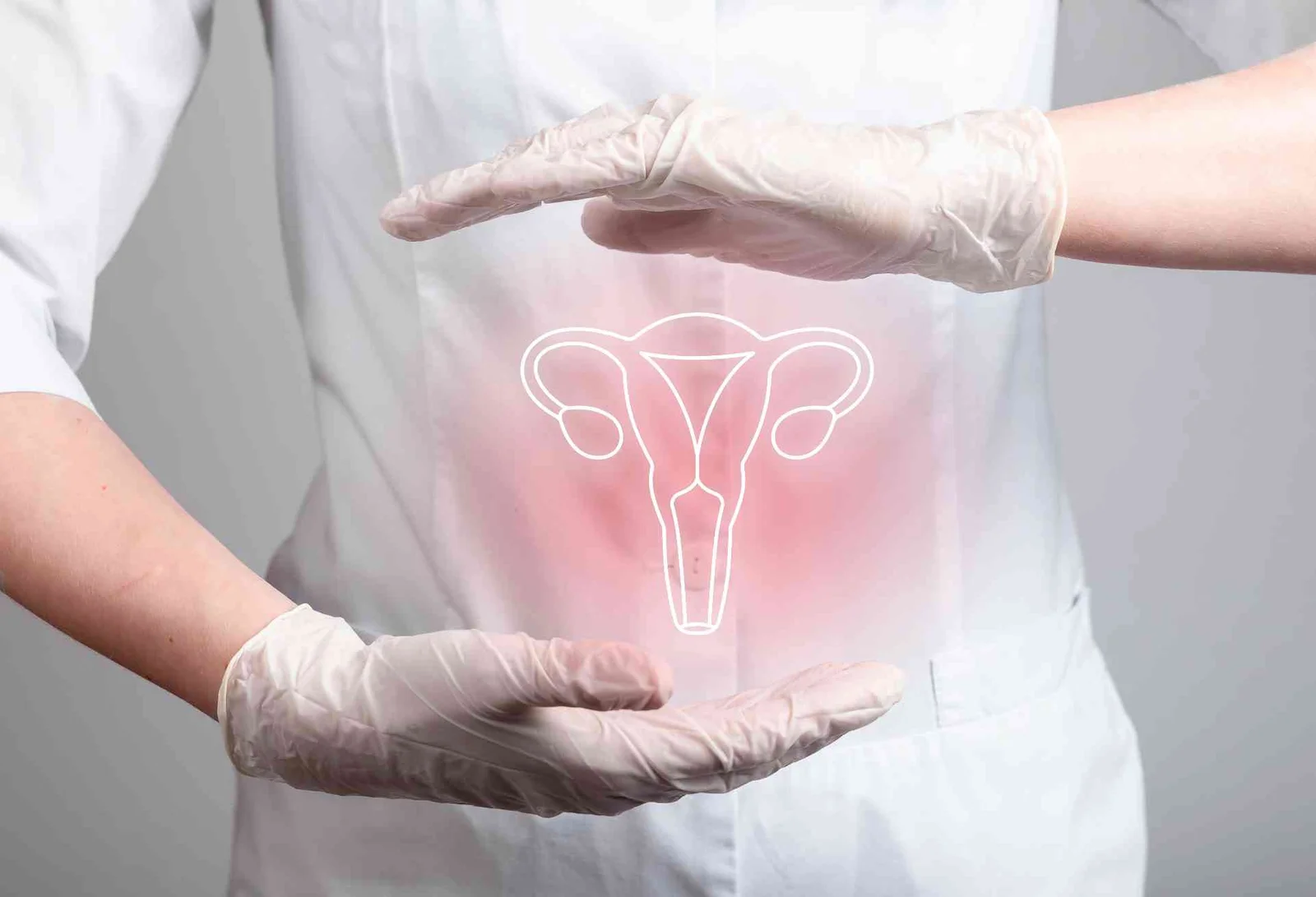endometrium