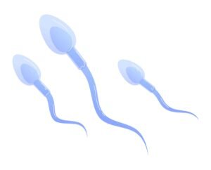 normal seman count