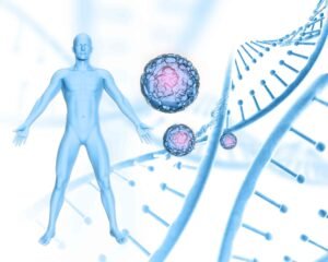 Male hormones