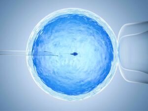 Myths around fertility