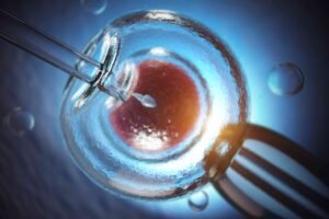 rate of success ivf