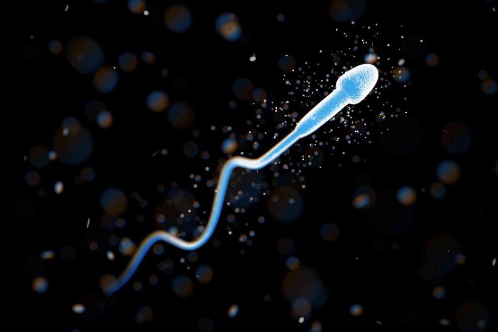 sperm dna fragmentation test