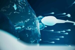 sperm dna fragmentation test