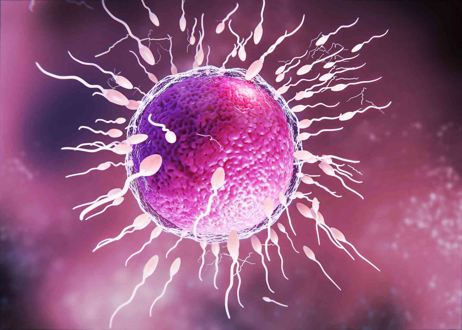 factors affecting fertility in men