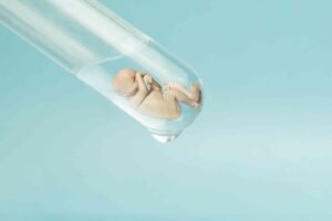what is test tube baby