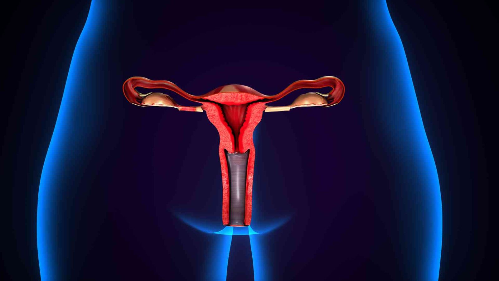 vaginal health