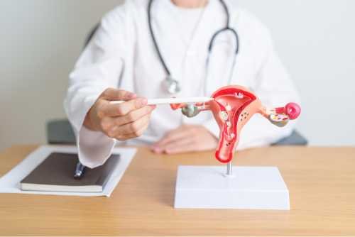 Gynec Laparoscopic Surgery