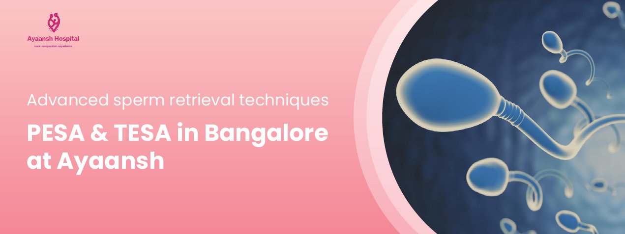 pesa and tesa in bangalore