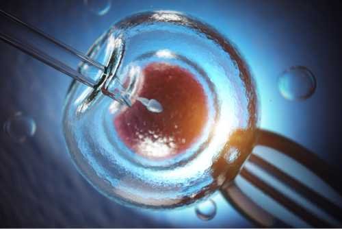 ivf treatment guide for couples