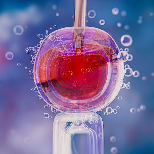 Donor eggs ivf treatment in bangalore