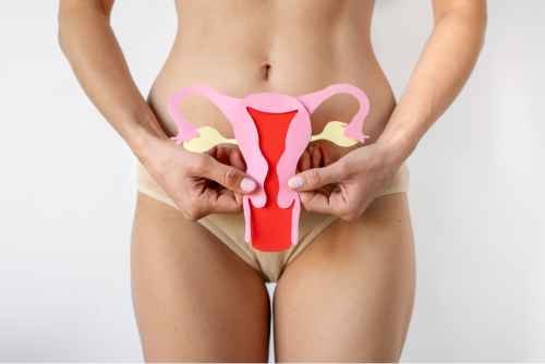 Female Pelvic Floor Health