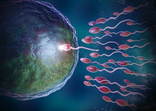 lifestyle changes for sperm count improvement