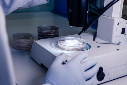 how is sperm retrieved for IVF or ICSI