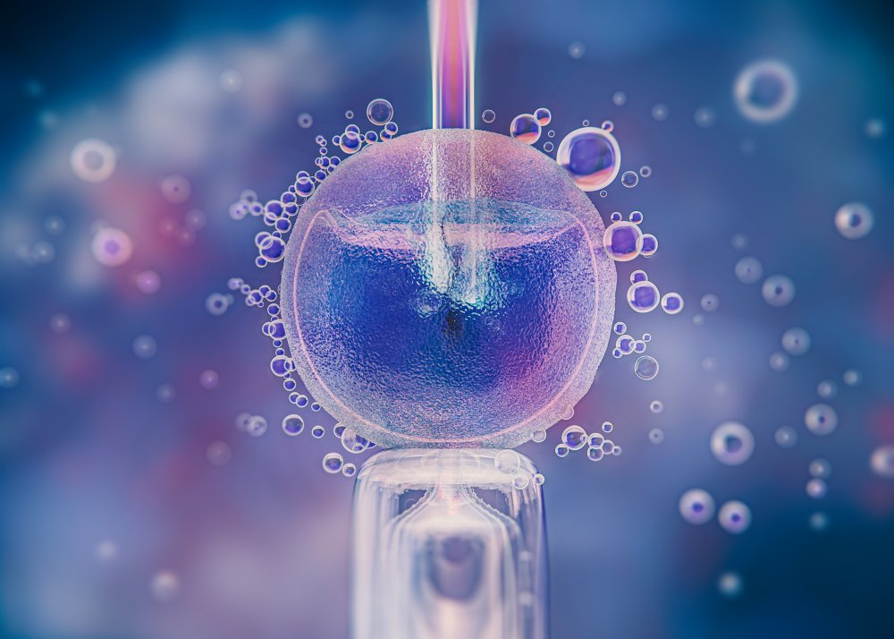 IVF specialist discussing embryo transfer options