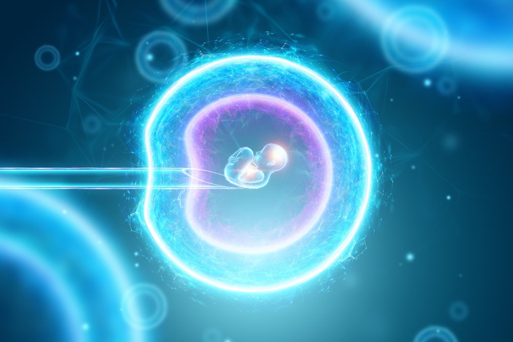 Fresh embryo transfer procedure