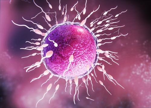 ivf success rate