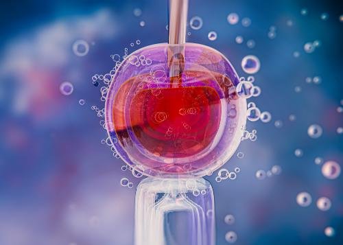 Can IVF Be Done Using Donor Eggs