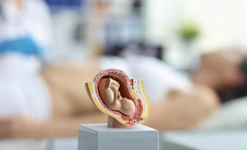 duration of an ivf treatment