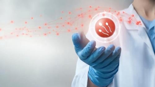 Can IVF Be Done Using Donor Eggs or Donor Sperm